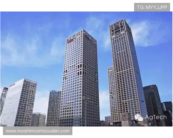 AG娱乐集团的品牌建设与市场推广策略详解，提升品牌影响力的有效途径